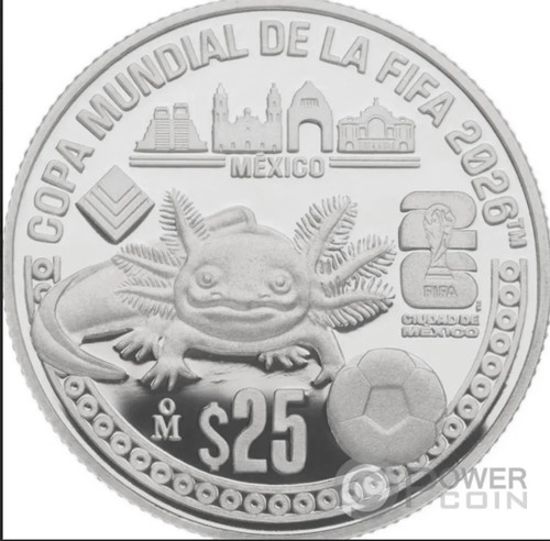 Fifa world cup axolotl - fifa,